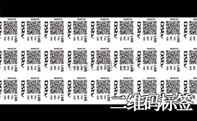 xc sportsA-1喷码平台一体机Technical Parameters